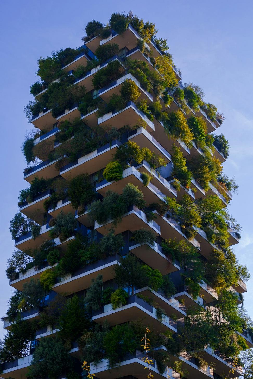 Sustainable building materials